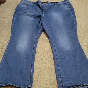 Lane Bryant bootcut jeans 28R